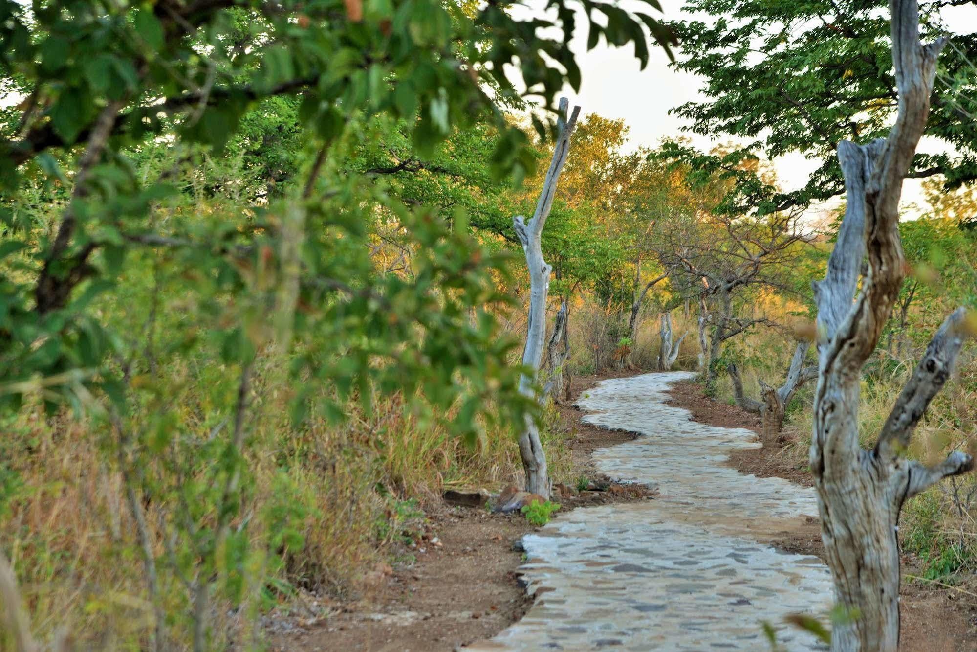Wildtrack Safaris Eco Lodge Pandamatenga 외부 사진
